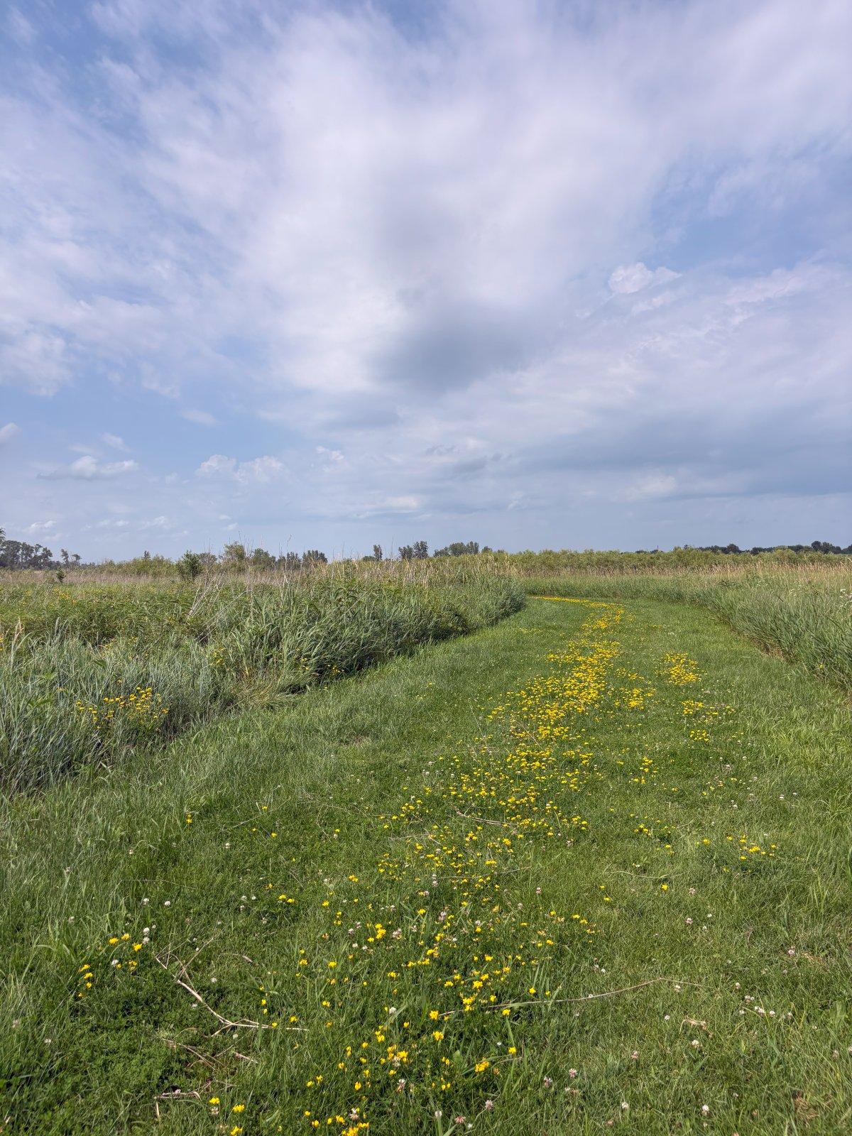 ave of saints path